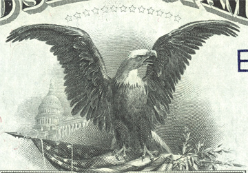 eagle