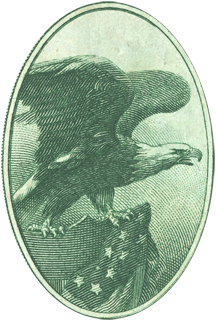 eagle3